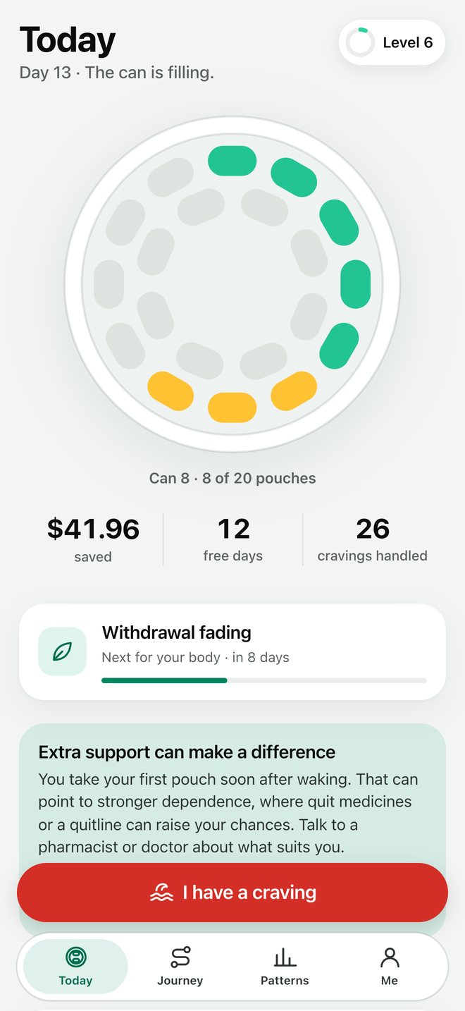 Canful on a phone: the can fills with pouches you skipped